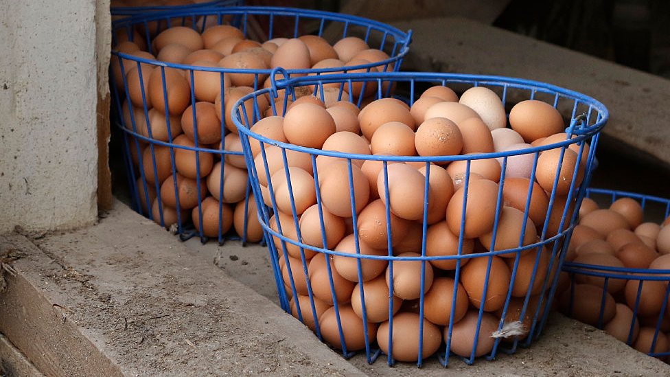 Socios, no solo negocios: cuándo tiene sentido entrar como minoritario en otros proyectos