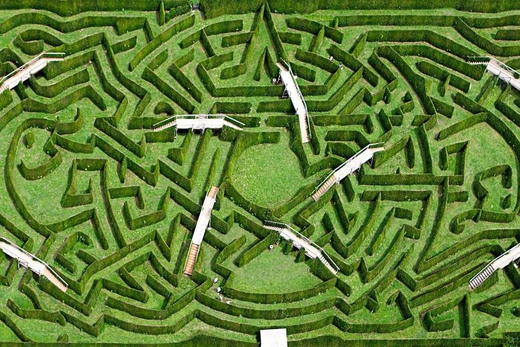 Fin de año con caja: cómo decidir entre invertir afuera o reforzar tu operación